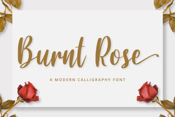 Burnt Rose: A Font That Elevates Your Brand