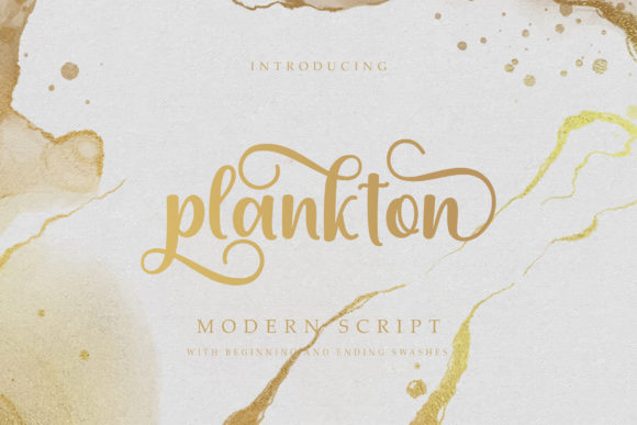 Plankton: A Font That Breathes Elegance Into Every Page
