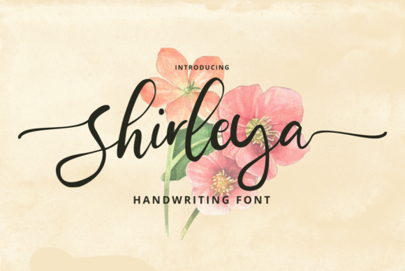 Shirleya: The Font That Gave My Bakery a New Look
